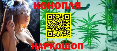 дмт Будённовск