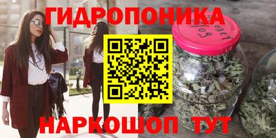 шишки Бузулук