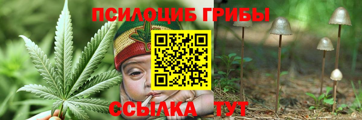 Псилоцибиновые грибы GOLDEN TEACHER  Галлюциногенные грибы GOLDEN TEACHER  Вход с VPN  Севастополь 
